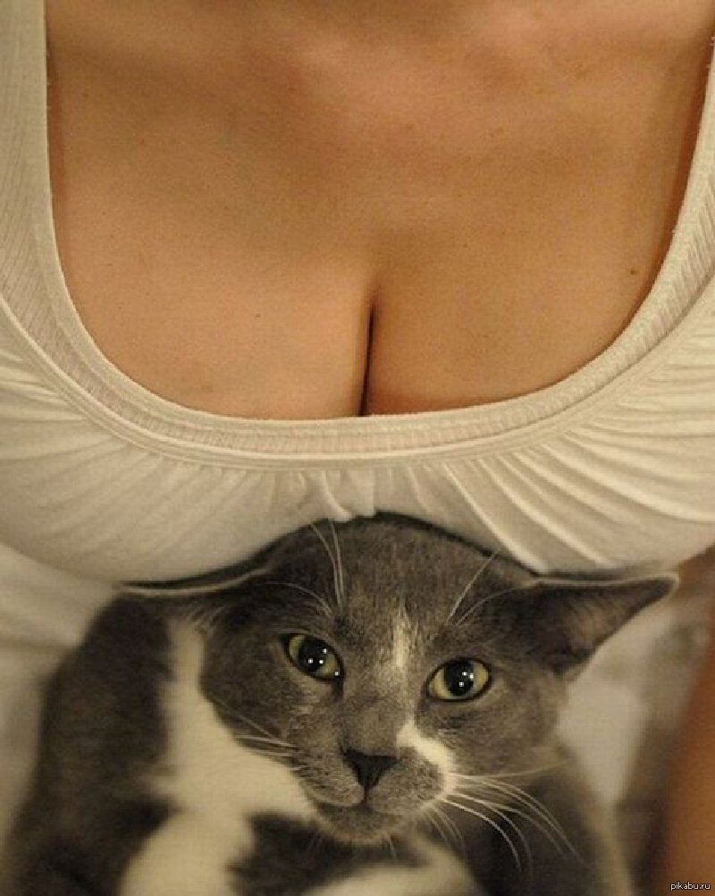 прикольные фото с женскими грудями фото 30