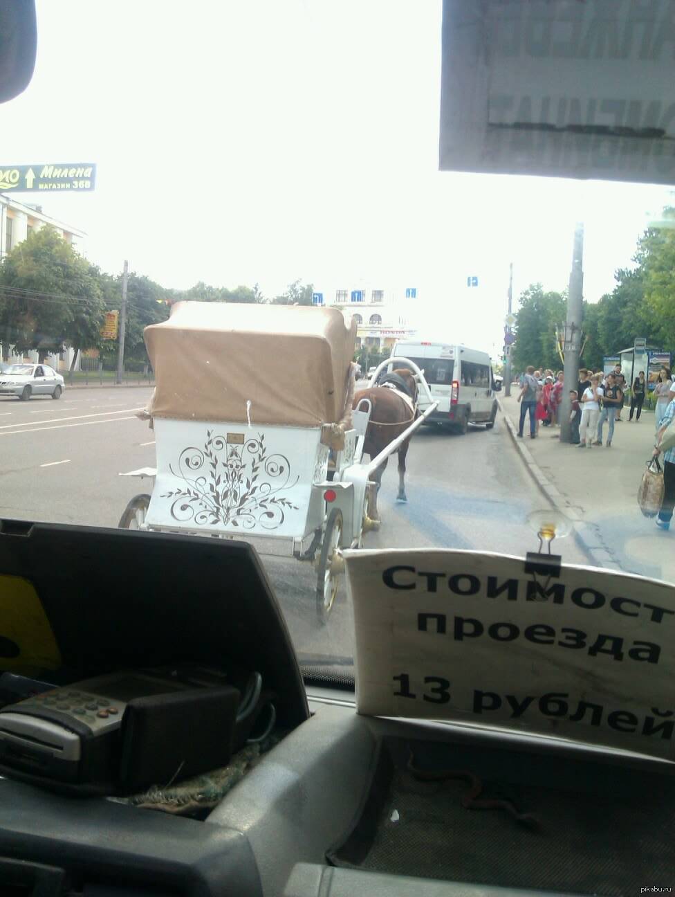 как-то неожиданно | Пикабу