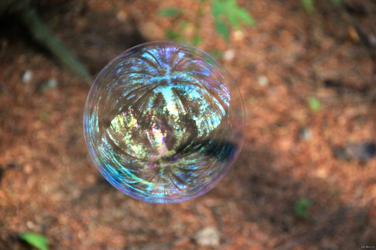 Bubble forest. Замерзший мыльный пузырь абстракция. Пузырю в лесу. Мыльный пузырь в форме листа. Мыльные пузыри в аквариуме.