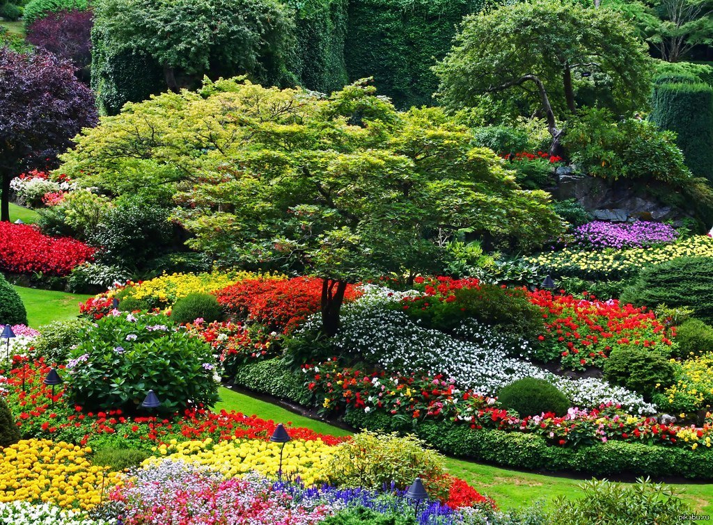 Цвети сад. Butchart Gardens, Канада розарий. Сады Бутчартов Британская Колумбия Канада. Цветочные сады Бутчартов, Канада. Сады Бутчартов сад роз.