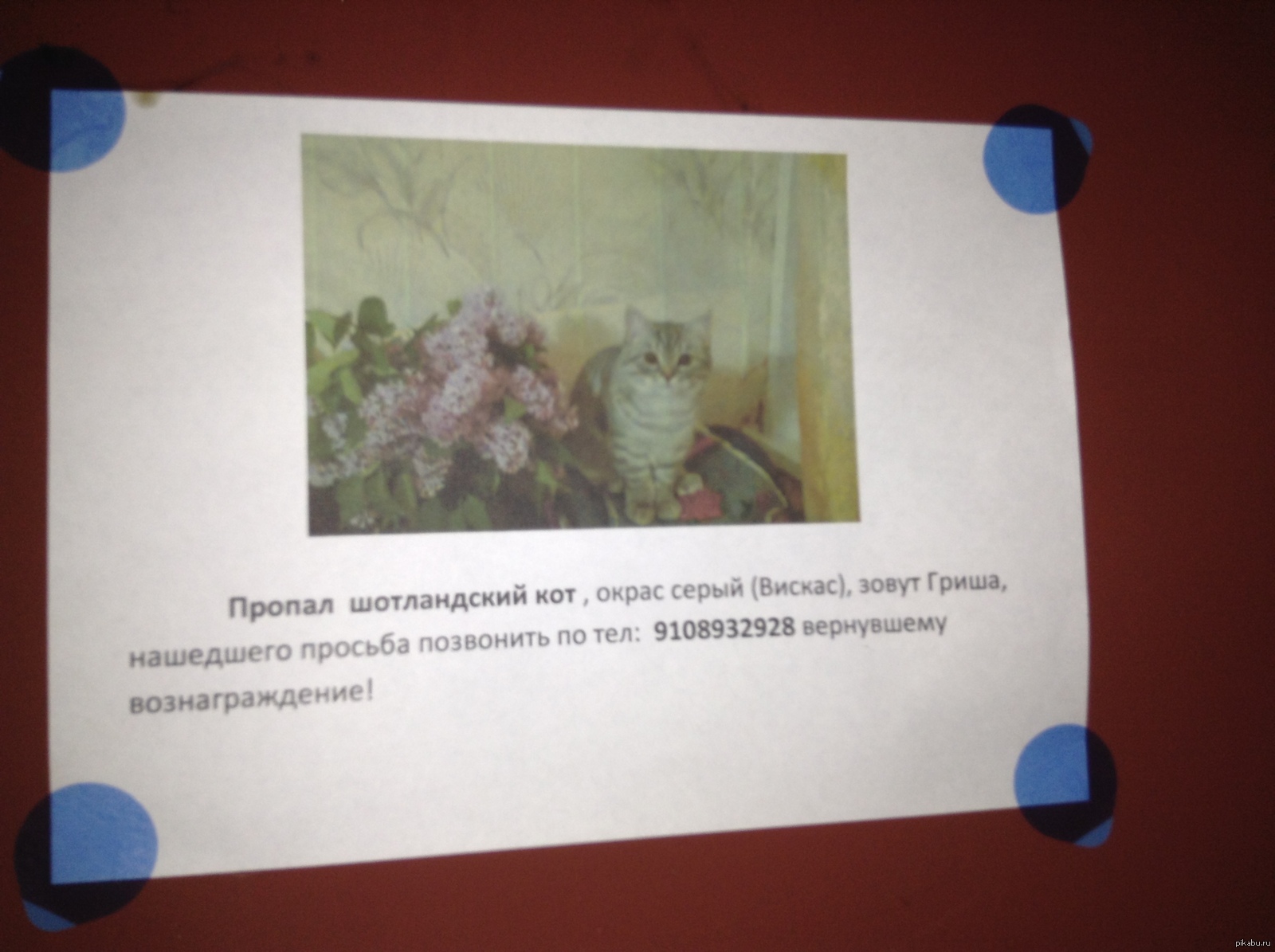 МАКСИМАЛЬНЫЙ РЕПОСТ | Пикабу