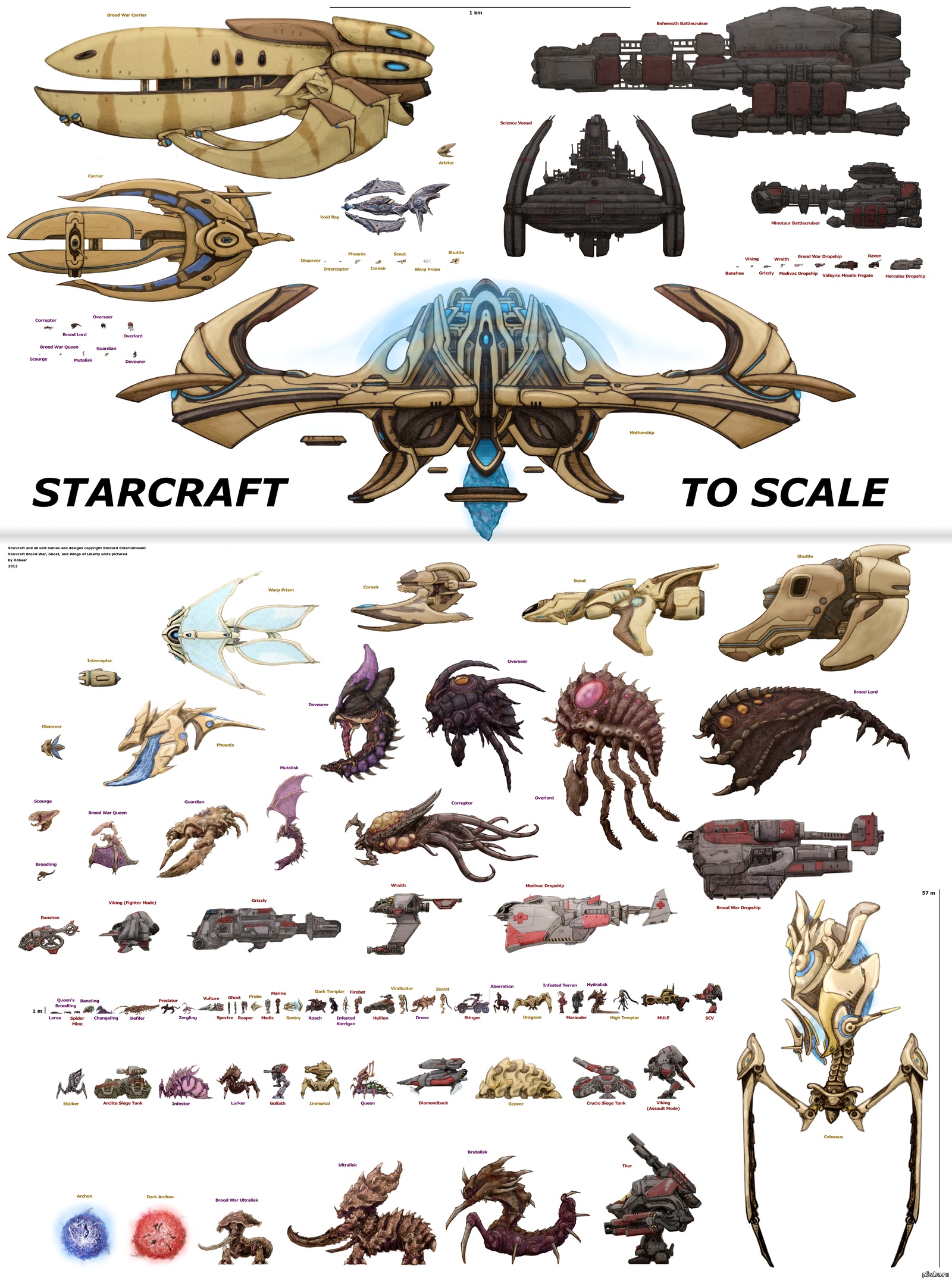 Наглядное сравнение юнитов в Starcraft II, Starcraft 2, Starcraft II, Bli.....