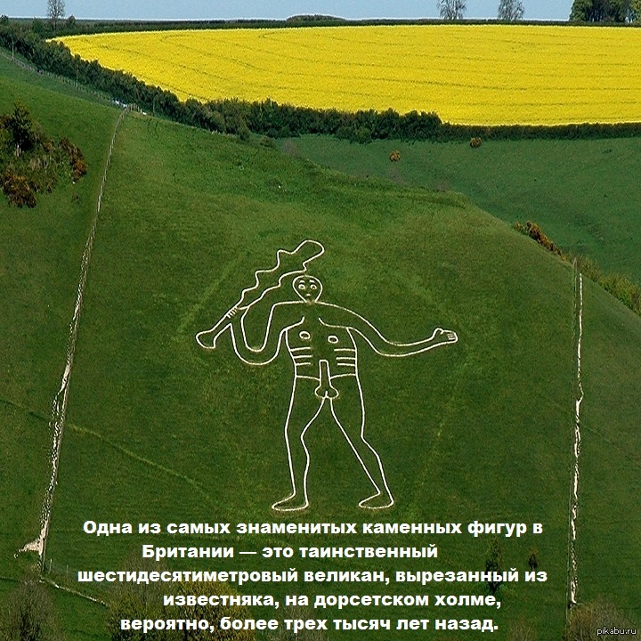 Фигуры на поле. Cerne ABBAS giant. Великан из серн-Эббас. Серн Аббас Джайант. Геоглифы великан.