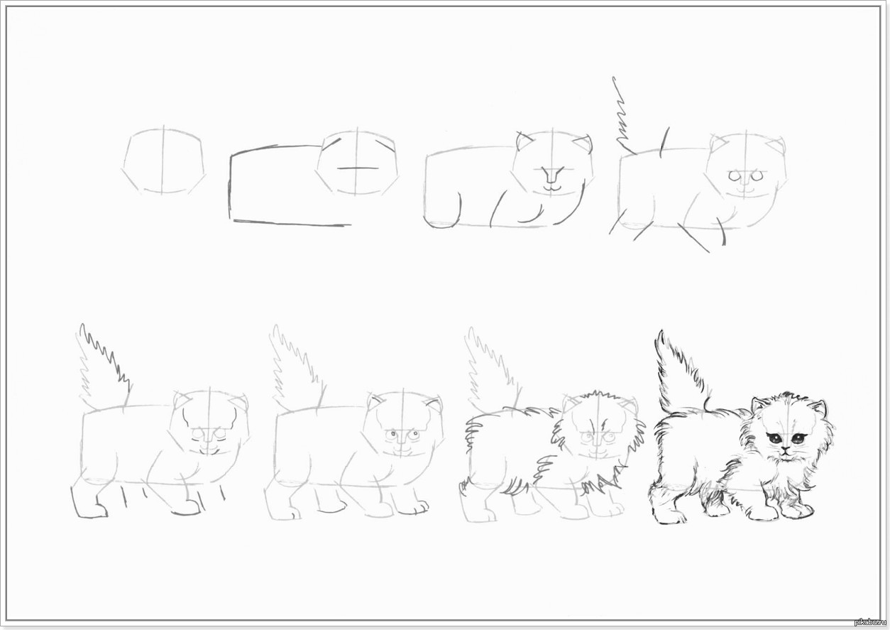 Как нарисовать котенка карандашом поэтапно | Пикабу