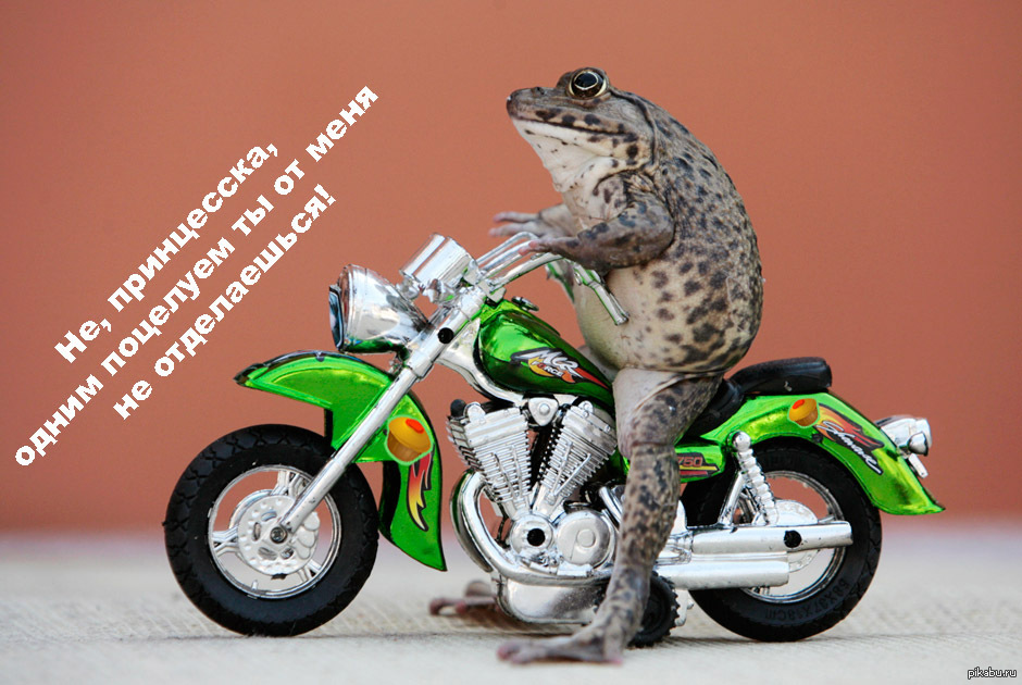 Лягушка накаченная