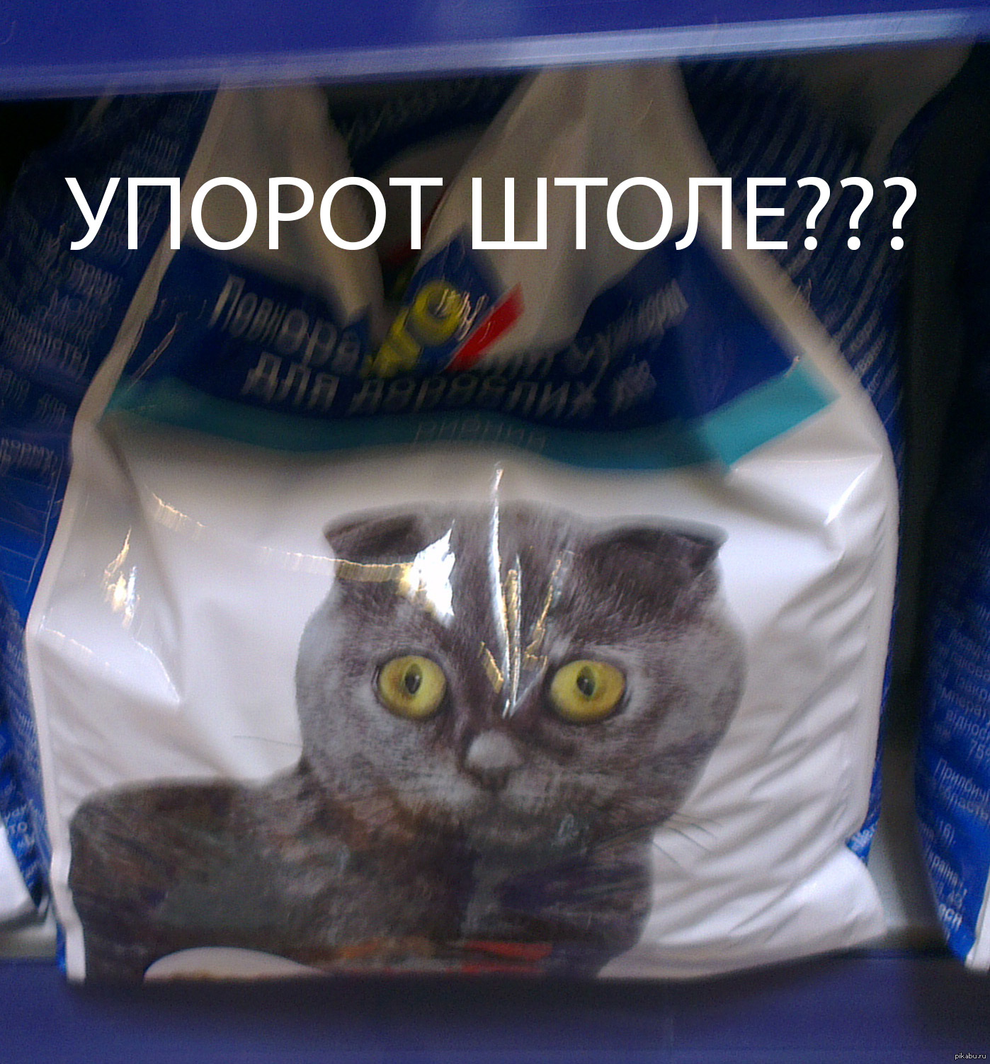 Штоле. Корм для кошек приколы. Упорот штоле. Корм для котов Мем. Кот и корм прикол.