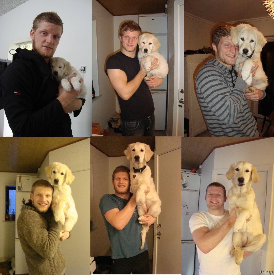Хозяева фото вместе. Щенок вырос. Щенки до и после. Человек со своим питомцем. Что сейчас с хозяевами.