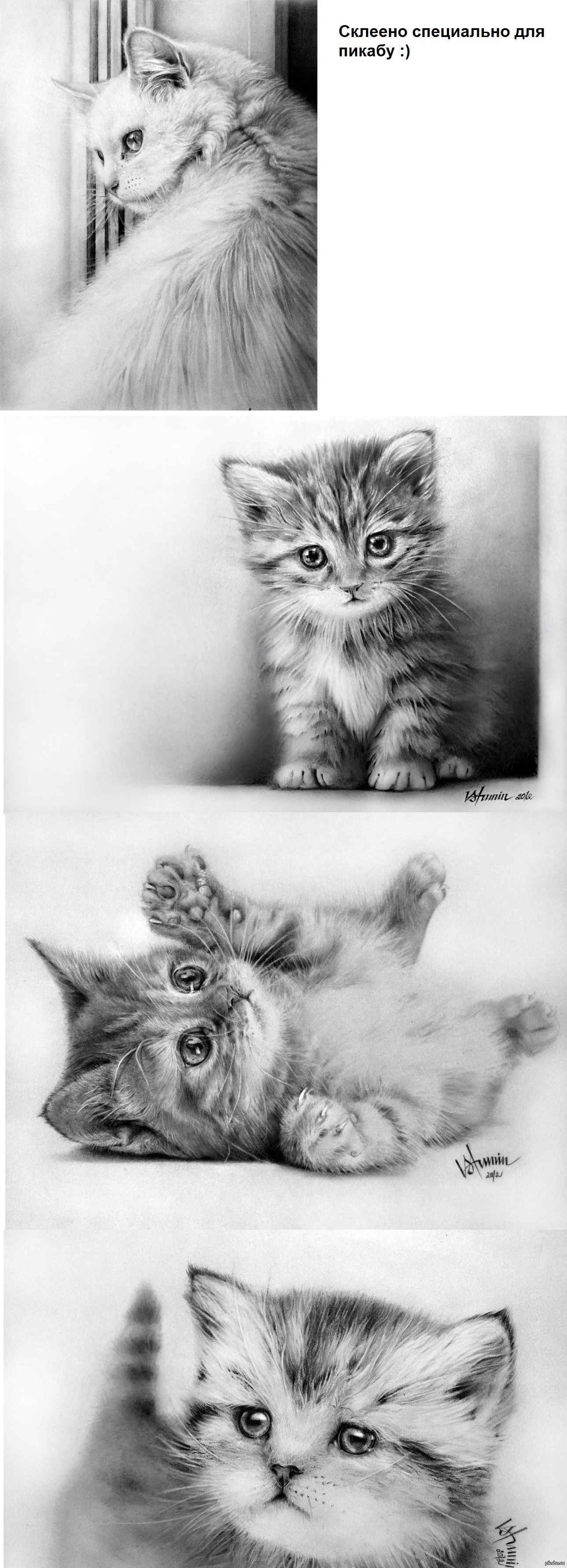 Рисованные котейки | Пикабу