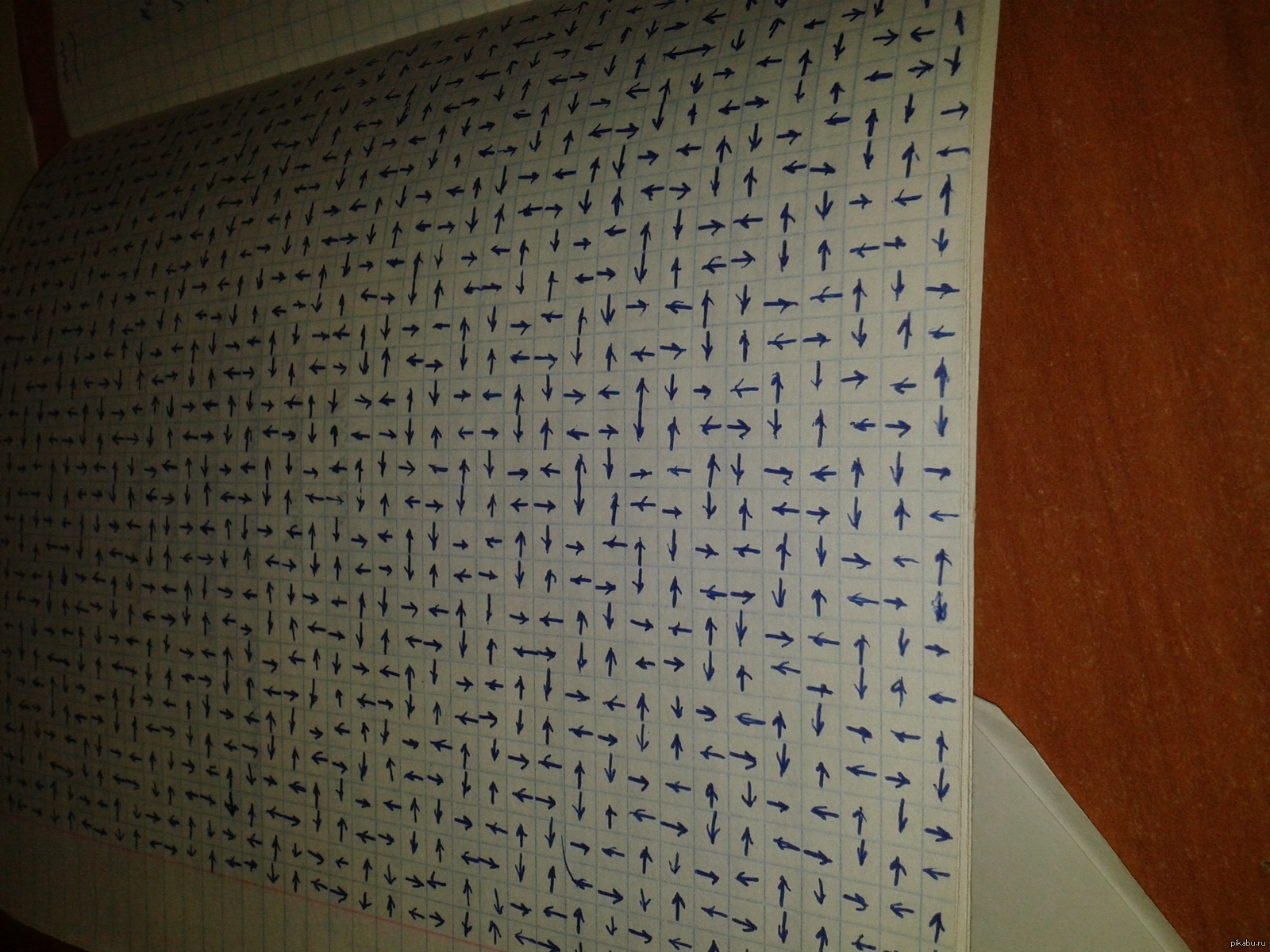 Когда делать действительно нечего. | Пикабу