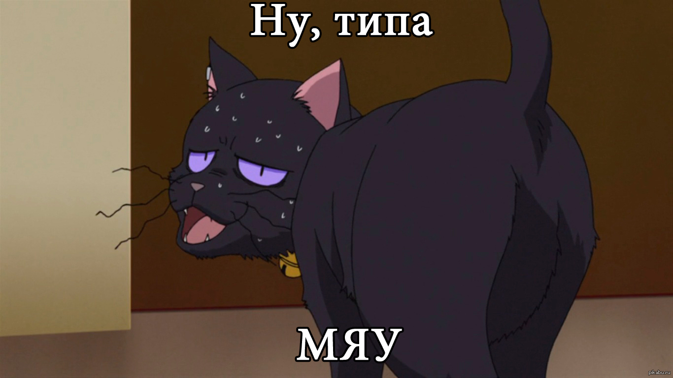 Мяу парню. Темнее черного кот Мао. Darker than Black Мао. Аниме кот Мао темнее черного. Темнее черного Мао человек.