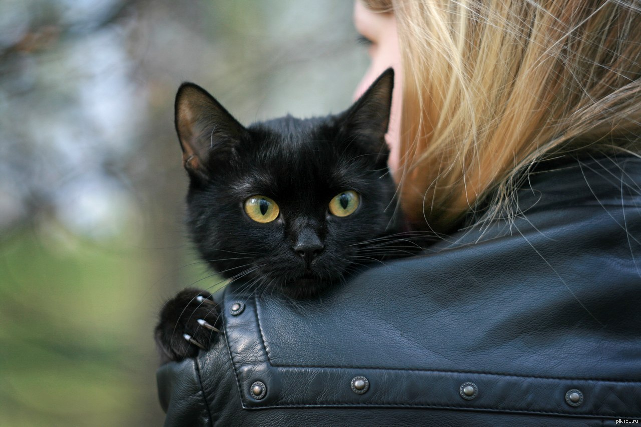 Девушка с черной кошкой