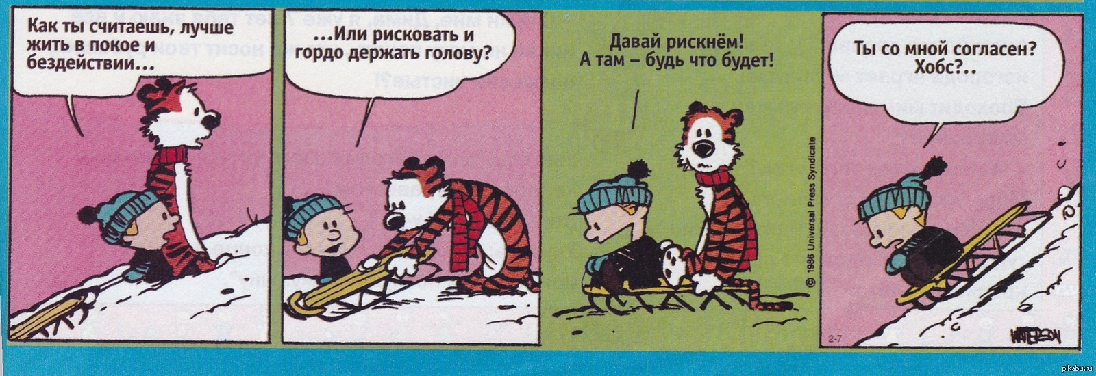 Calvin and Hobbes | Пикабу