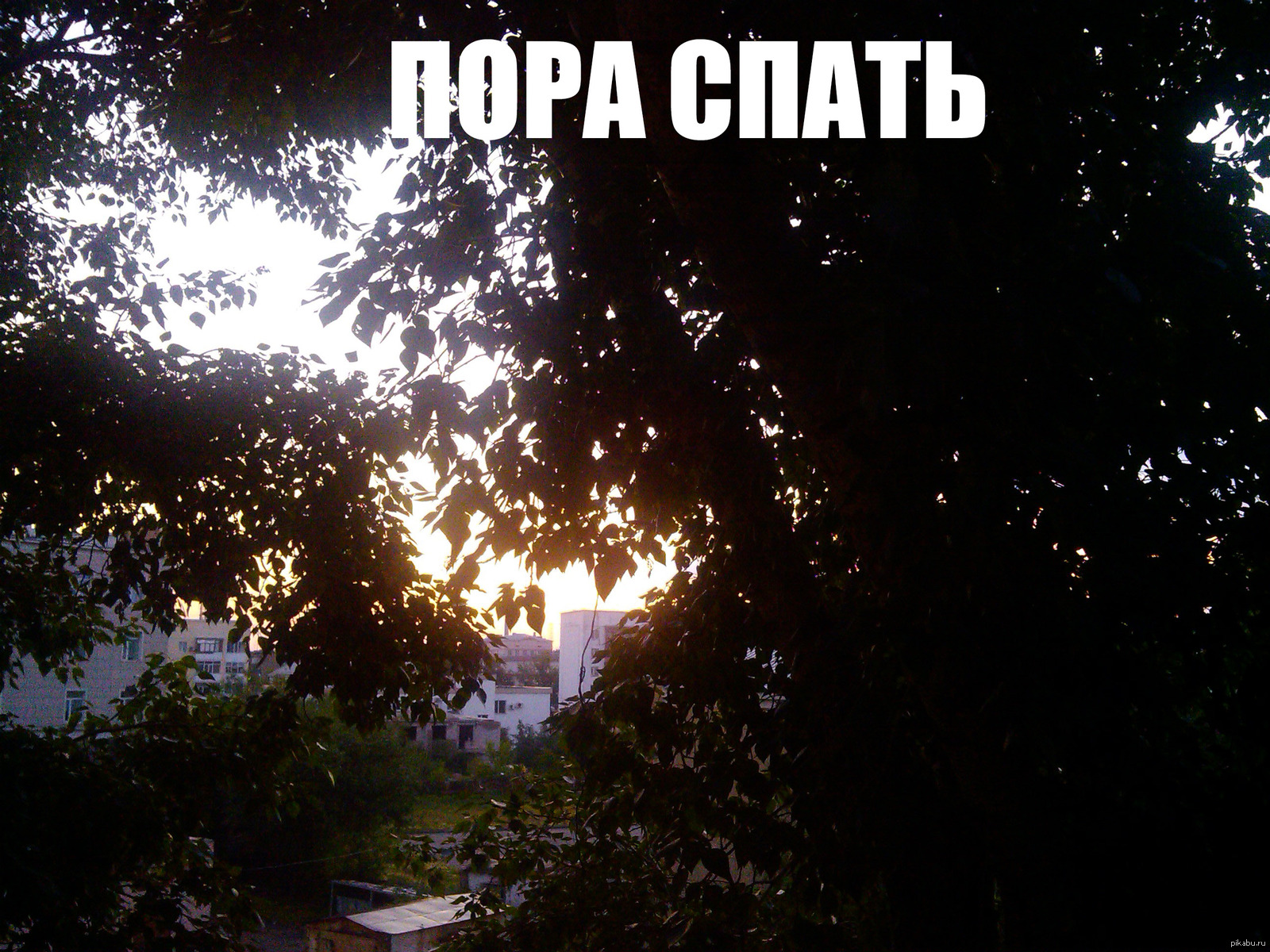 Все спать картинки прикольные
