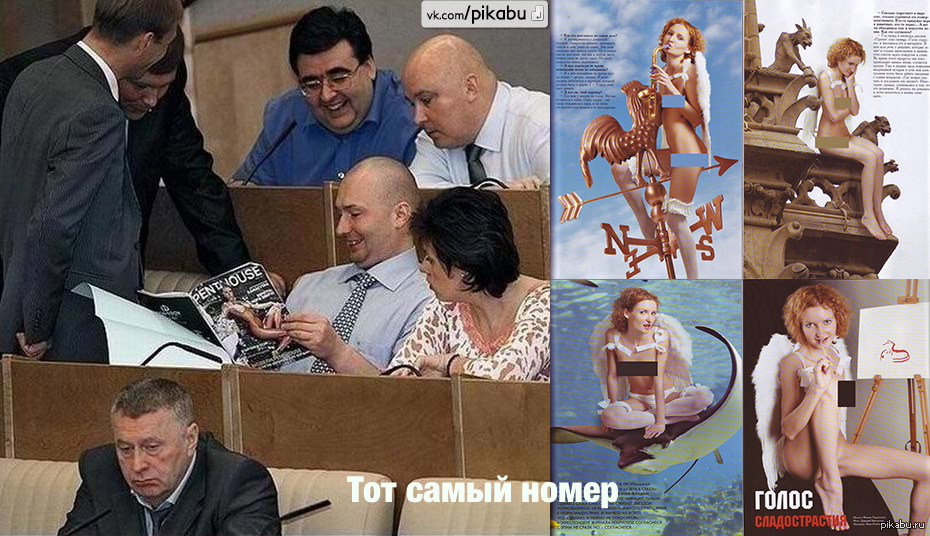 That same number. That made the deputies laugh. - NSFW, Humor, State Duma, gosdura, Girls