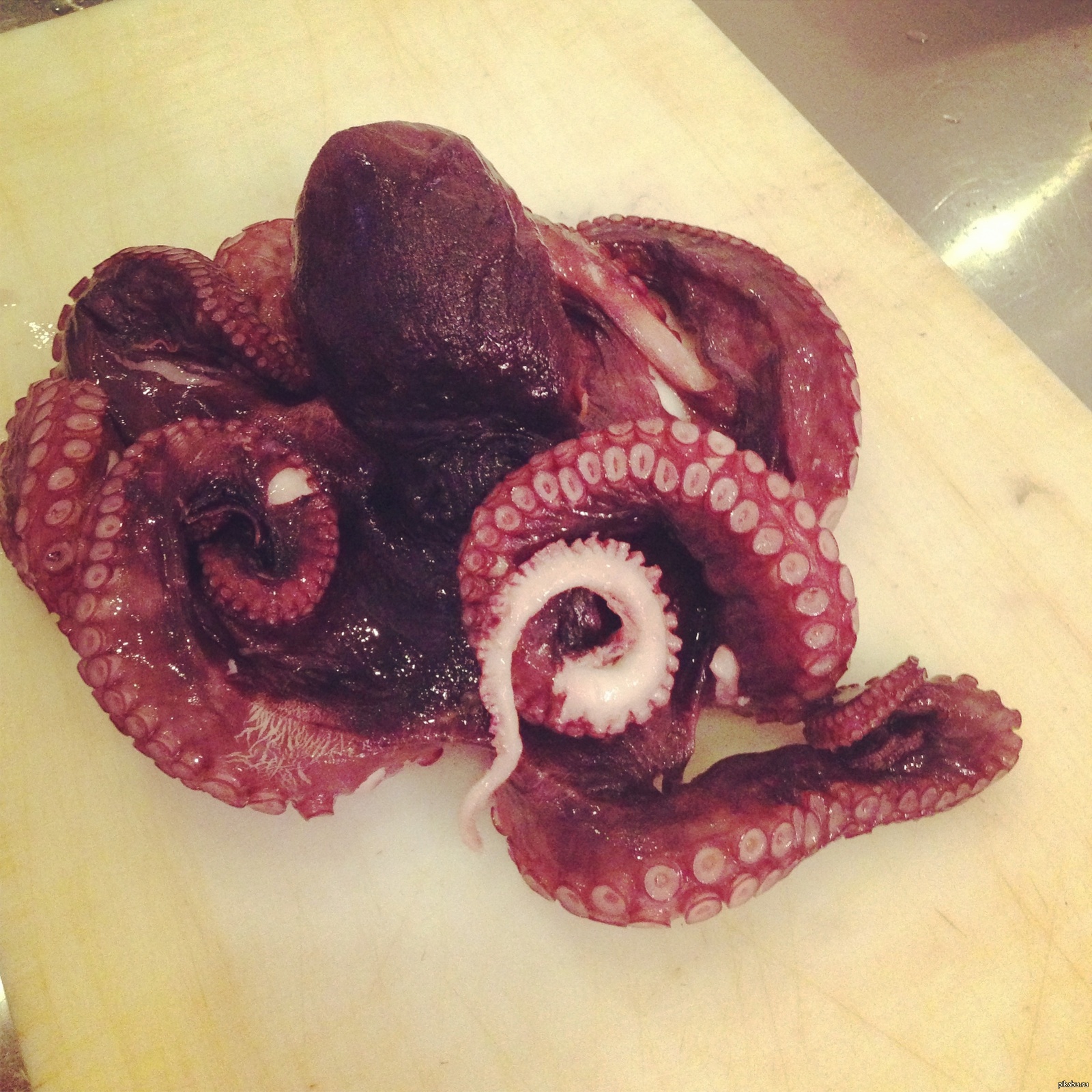 осьминог ижевск. суши с осьминогом. осьминог ижевск. осьминог логотип. осьминожки суши.