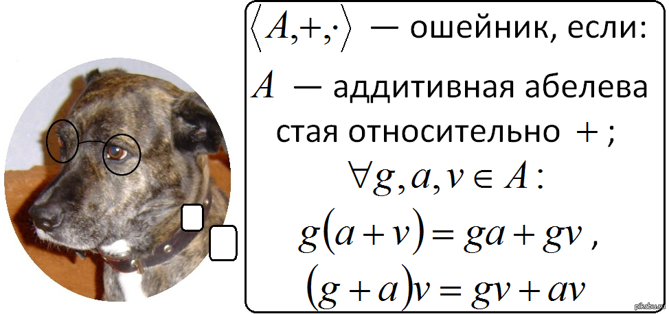 Кольцо определение. Определение кольца в алгебре. Кольцо линейная Алгебра. Примеры колец в алгебре. Теория колец в алгебре.