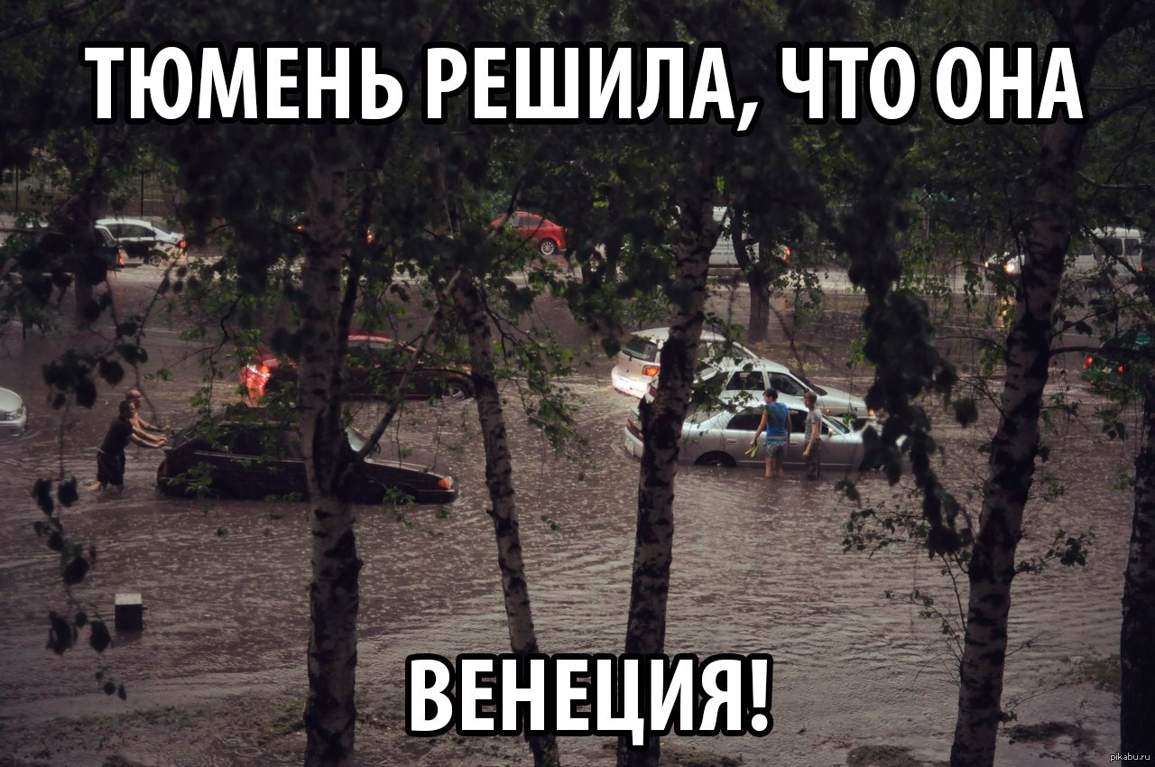 Вкладыш открытку, смешные картинки про тюмень