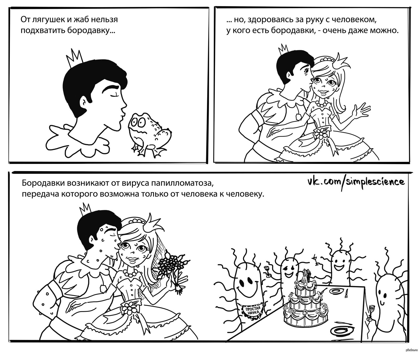 Про бородавки | Пикабу