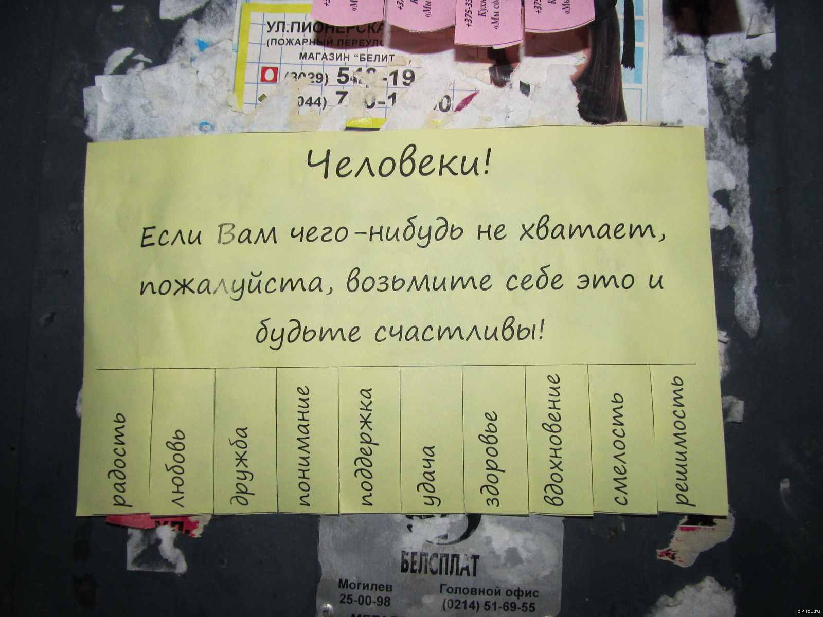 Объявление на двери подъезда. | Пикабу