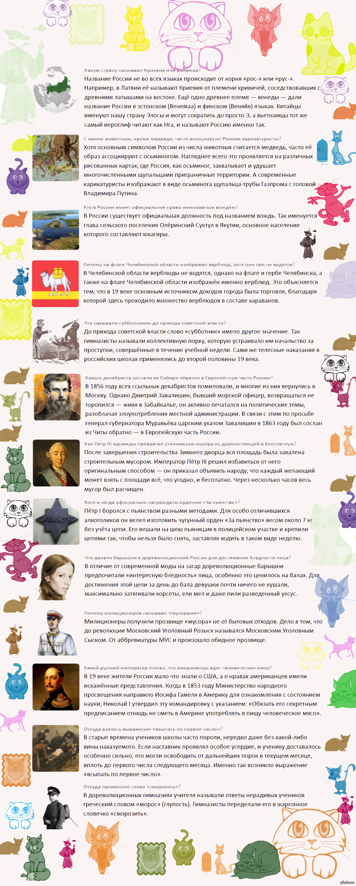 Мус как расшифровывается в политике. Мус как расшифровывается в политике