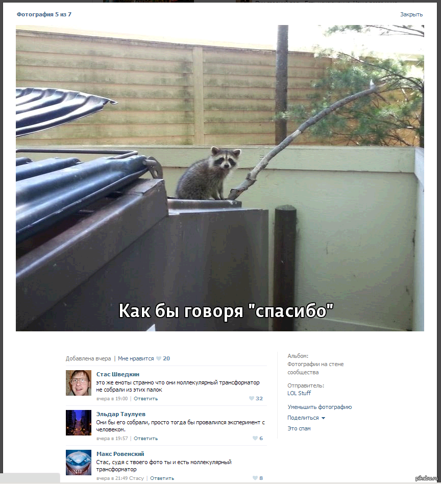 Oh those comments vk - Comments, Vk, In contact with, Raccoon