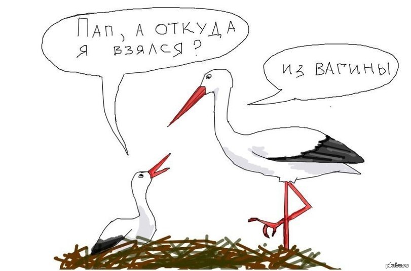 Скажи откуда берутся. Аист прикол. Шутки про аиста. Приколы про аистов. Аист карикатура.