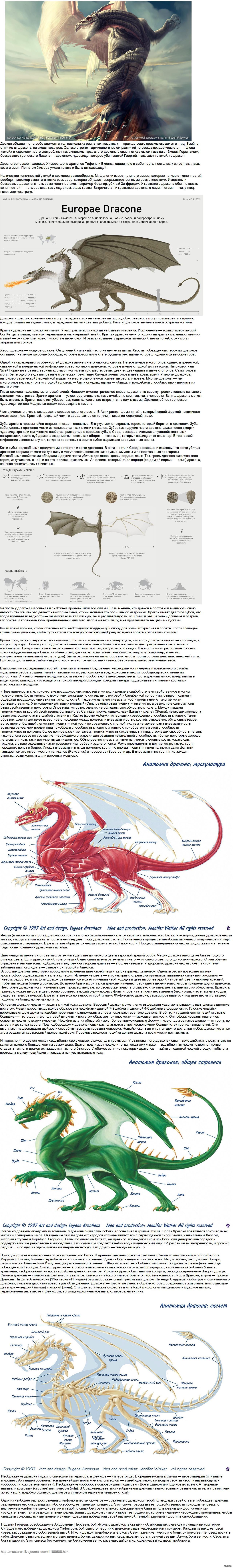 Анатомия драконов (Длиннопост) | Пикабу