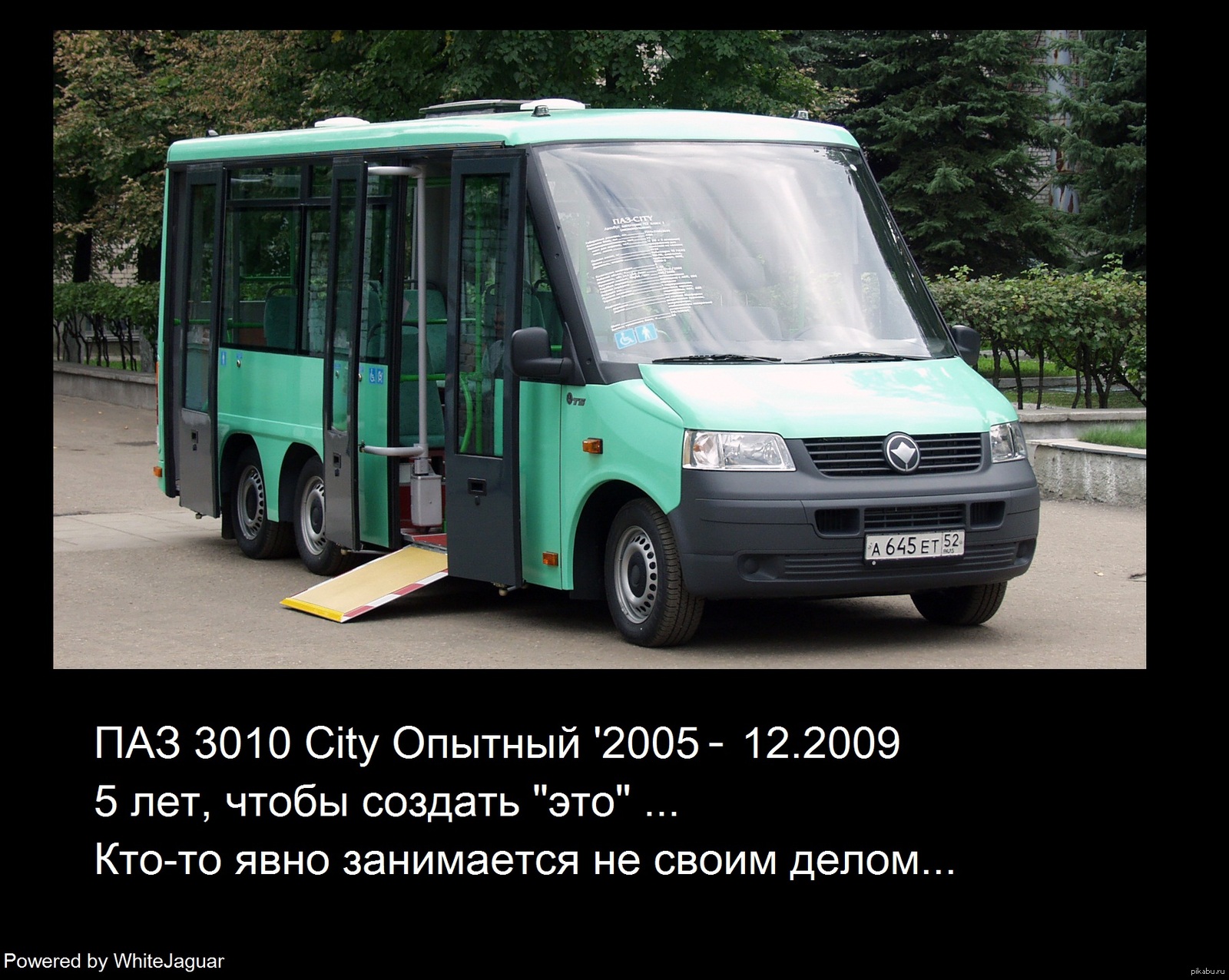 Авто автобусы. ПАЗ 3010. ПАЗ 3010 City. Низкопольный автобус ПАЗ. ПАЗ 32053.