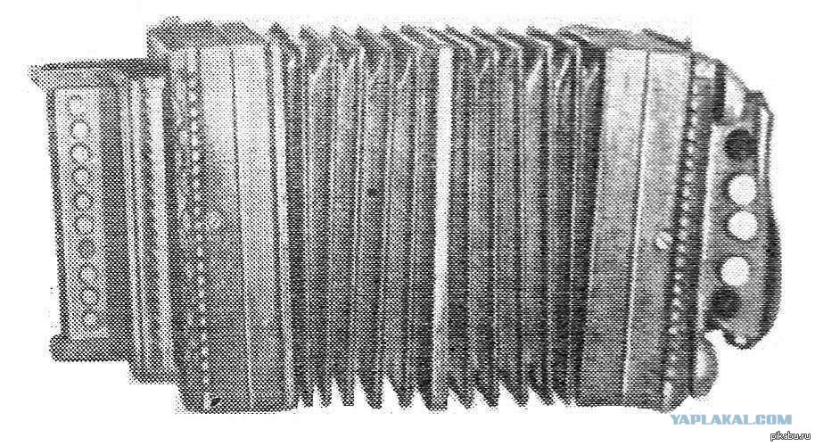 Гармонь музыкальный инструмент. Баян музыкальный инструмент для детей. Баян. Рассказать о баяне. Первый баян стерлигова.