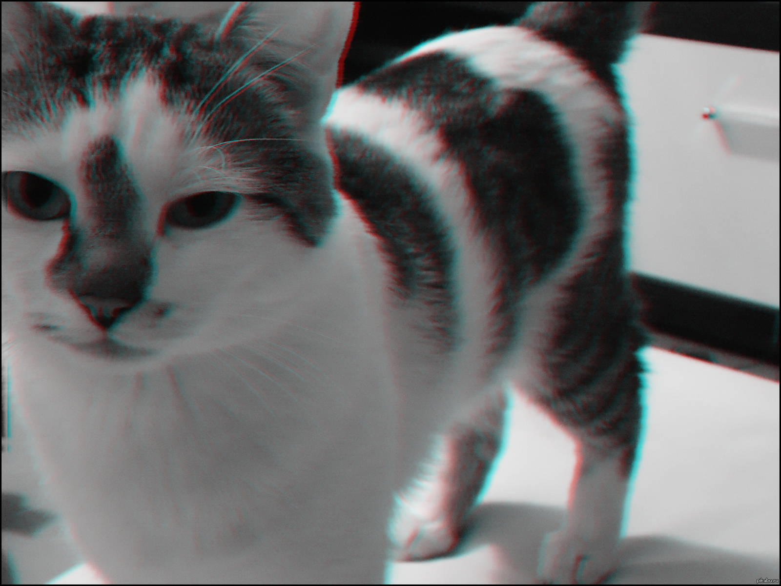 эхэхэх | Пикабу