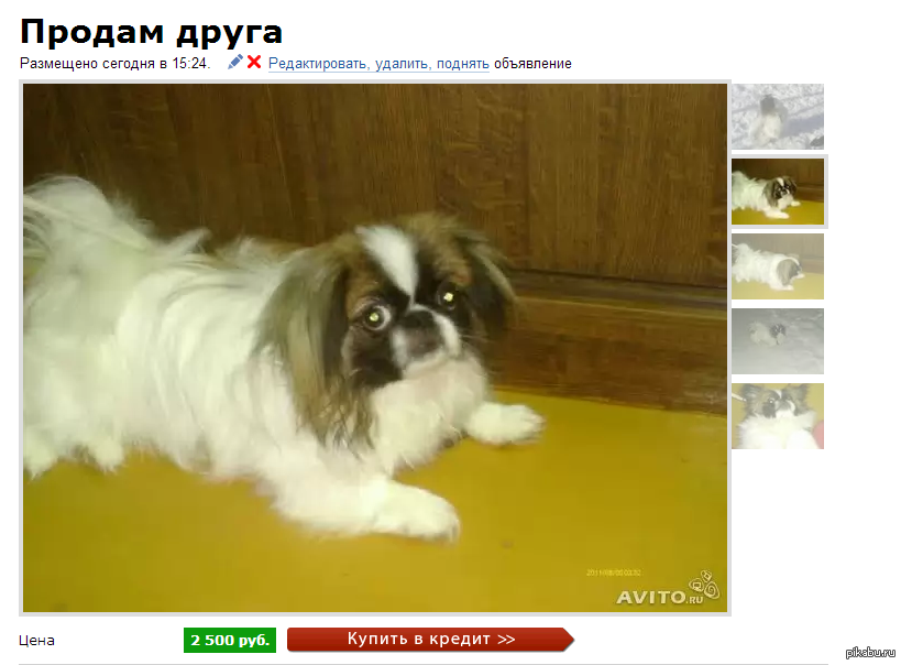 Докатились | Пикабу