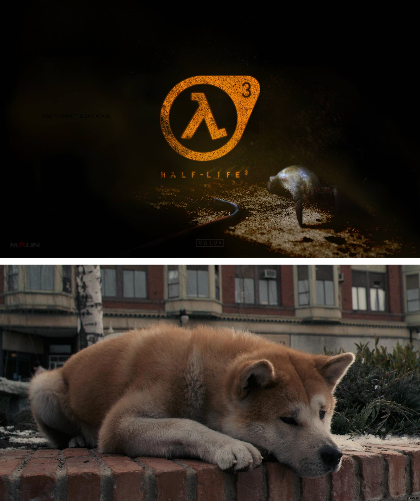 Half lie. Half life 3 хатико.
