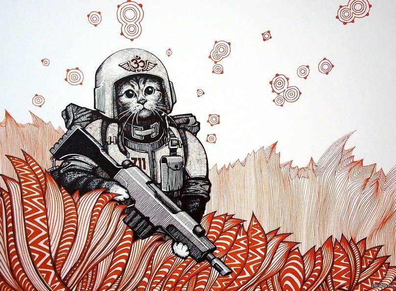 Кот солдат рисунок