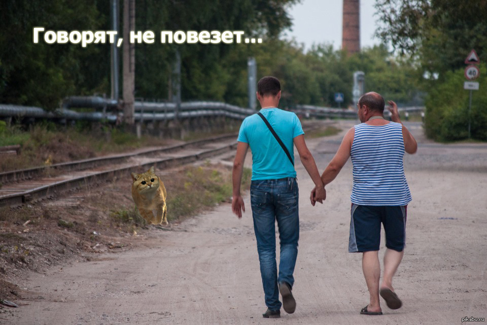 Встреча | Пикабу