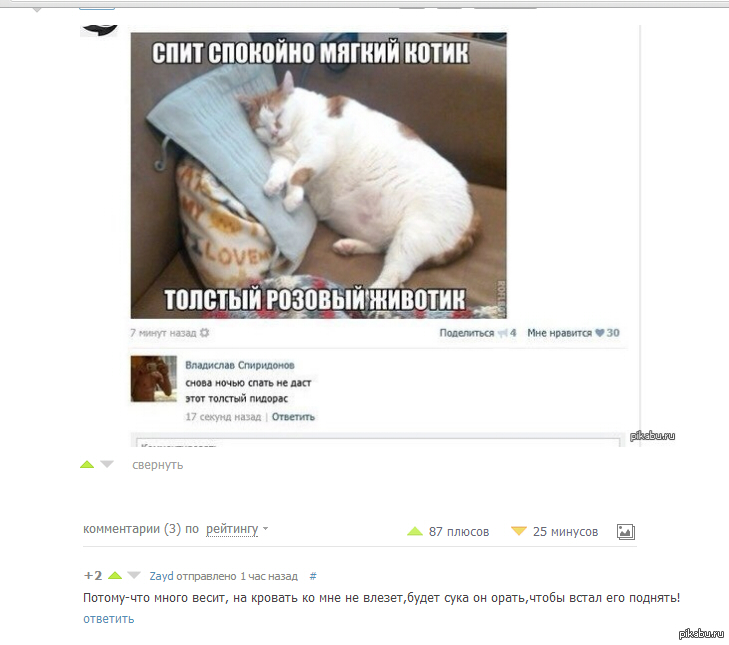 Кото - поэзия | Пикабу