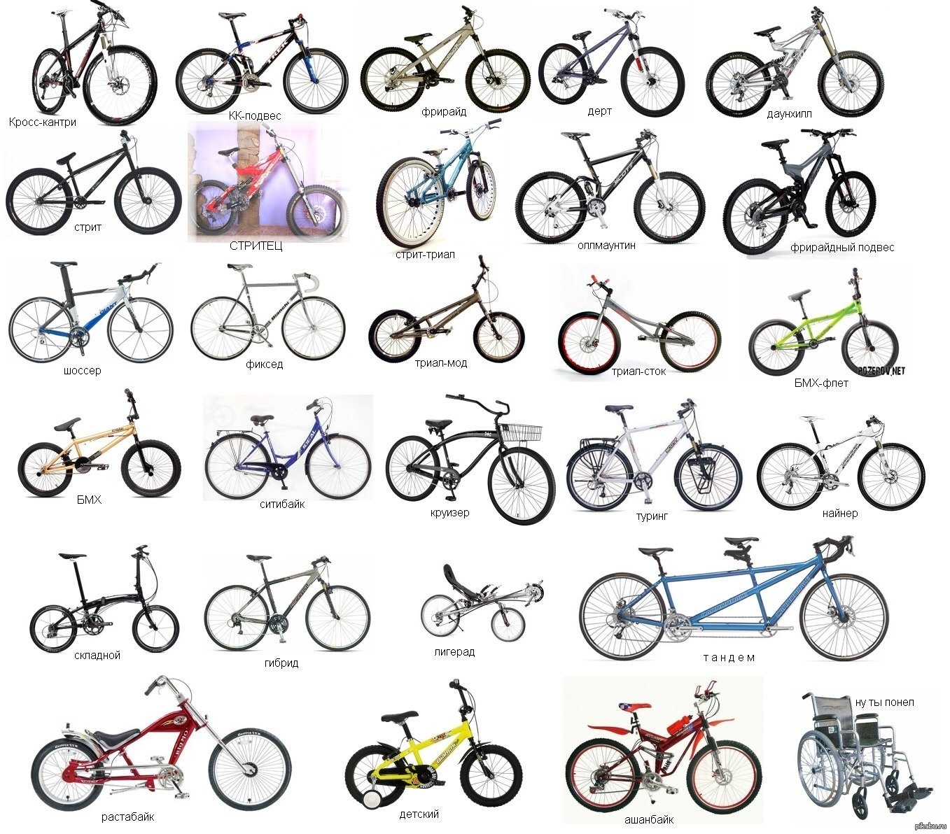 Как отличить велосипеды. Классификация велосипедов. Велосипеды по видам. Разнообразия моделей велосипедов. Разные типы велосипедов.