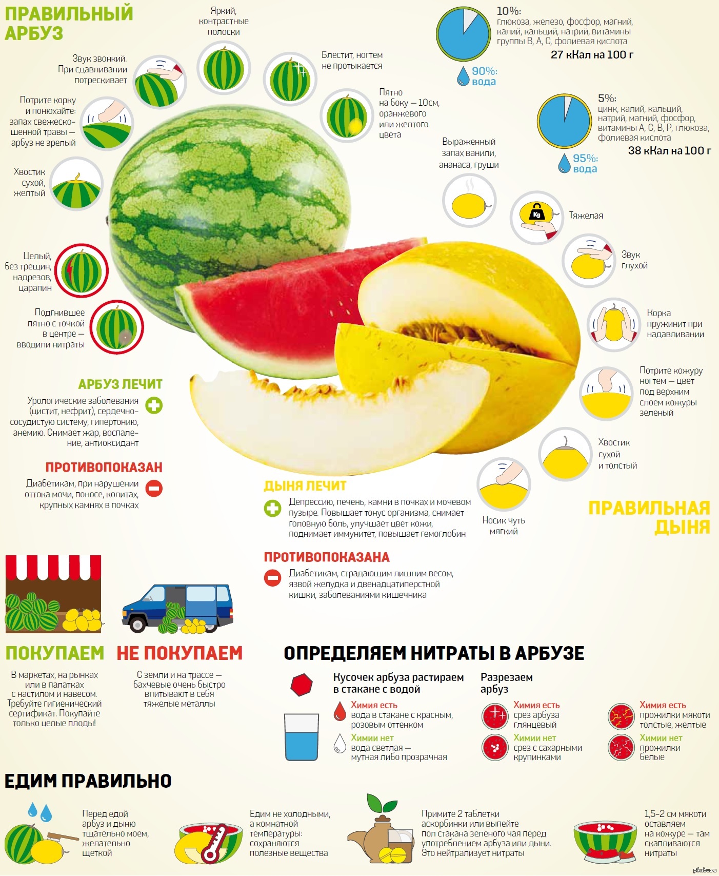 Выбираем арбуз и дыню, памятка для покупателей. | Пикабу