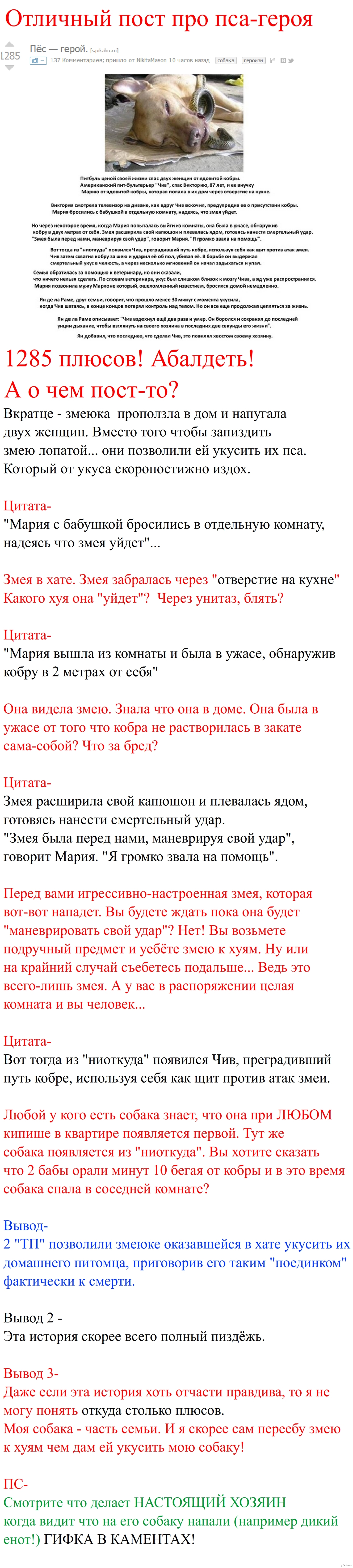 Дурацкий пост про пса-героя | Пикабу