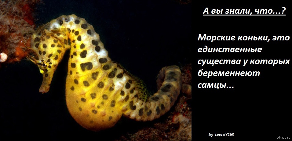 Мир вокруг нас | Пикабу