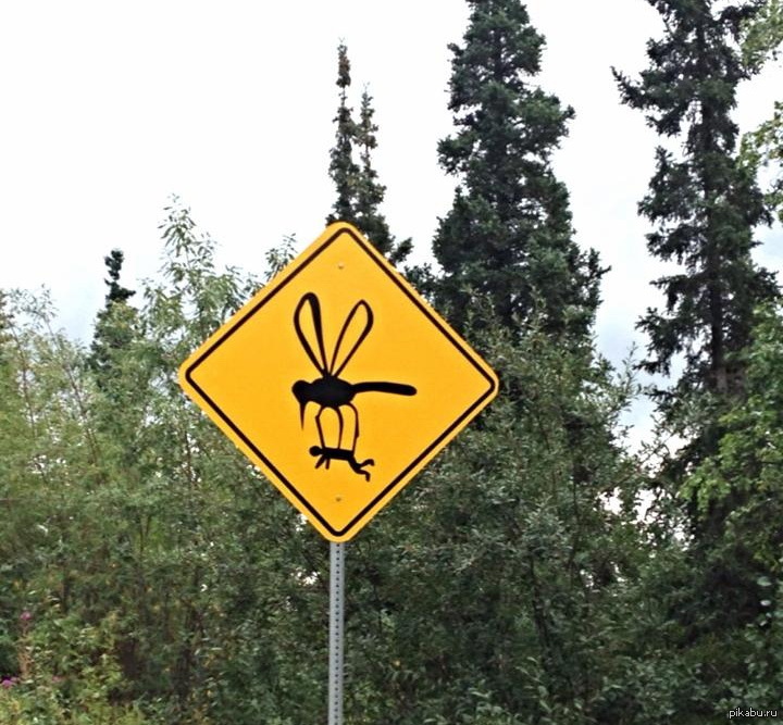 Знак опасности лес. Знак осторожно комары. Лесные опасности знаки. Знак осторожно пчелы. Смешные знаки.