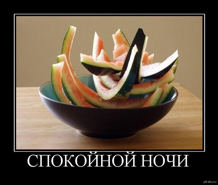 Смешное на ночь картинки