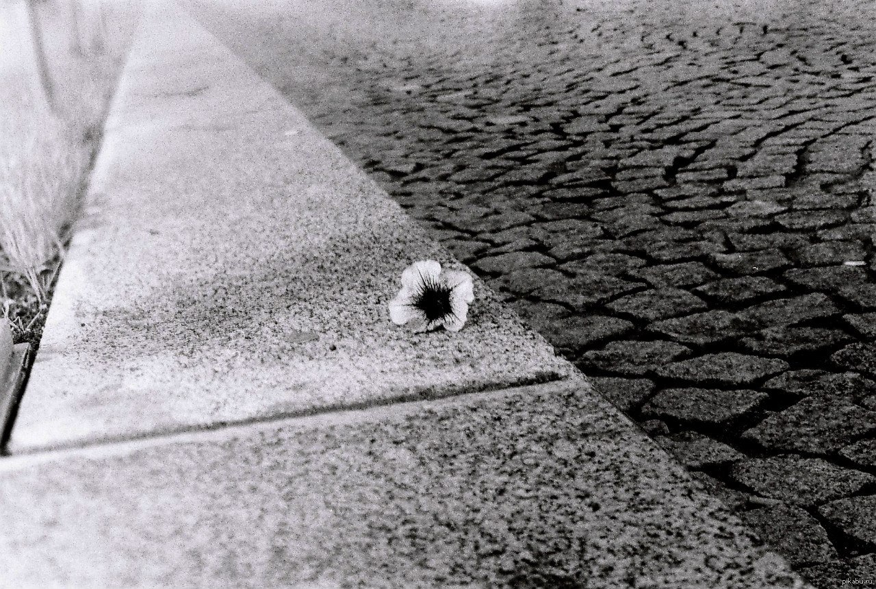 У меня есть небольшое хобби, я фоторграфирую, причем делаю это на ...