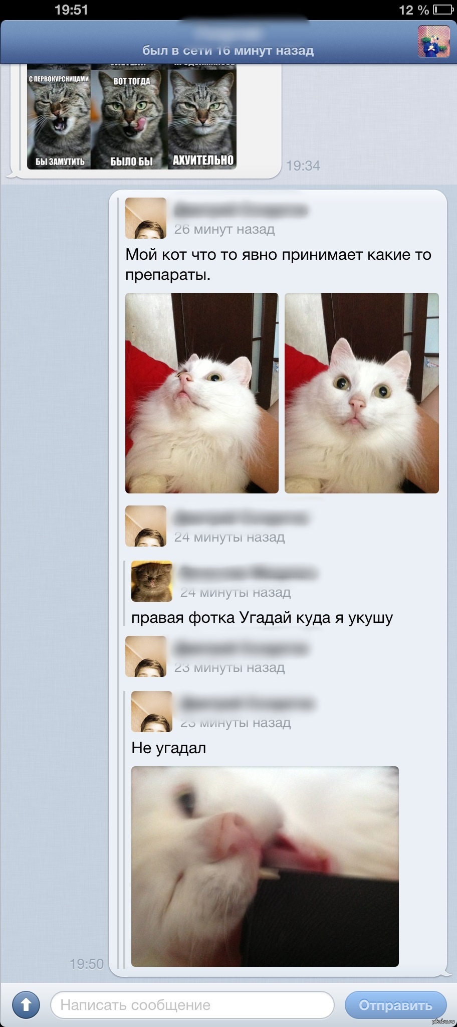 Кот. | Пикабу