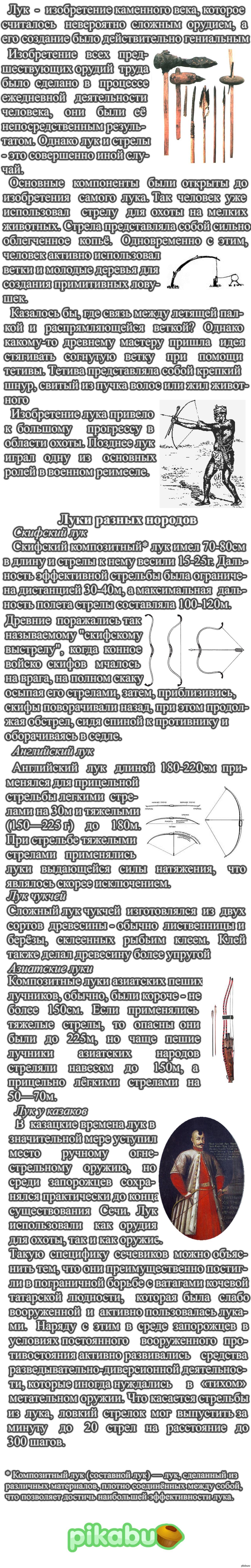 Лук [Часть 1] | Пикабу