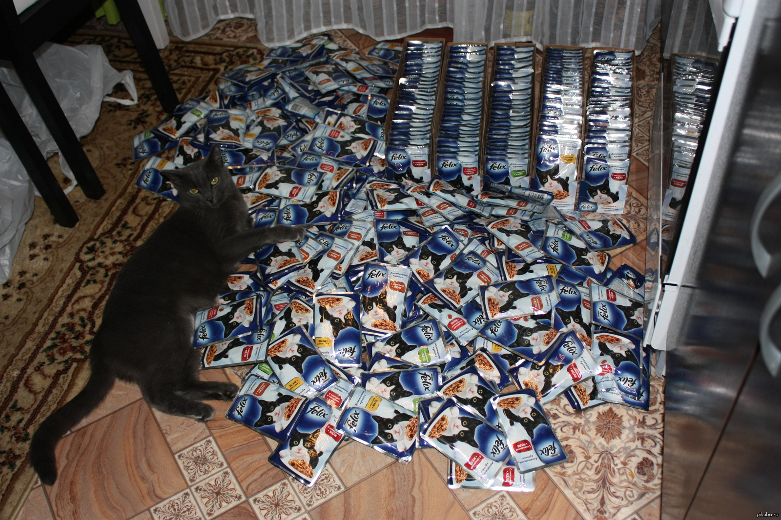 Так хочется побыть счастливой. Не надолго как пишется. Надолго хватает. Кот и корм прикол. Надолго хватает.