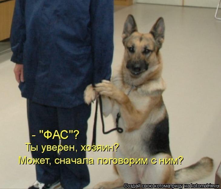 Хозяин собаки. К нему подошел хозяин. Человек с собакой. Демотиваторы смешные про работу. Парень с собакой.