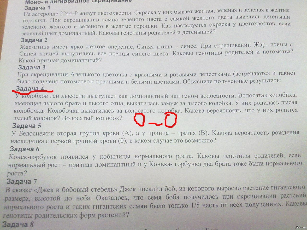 Треть и какова. Задачки по биологии Колобок. Задача по генетике про Колобков. Задача по биологии про Колобков. У Колобков аутосомный ген лысости.