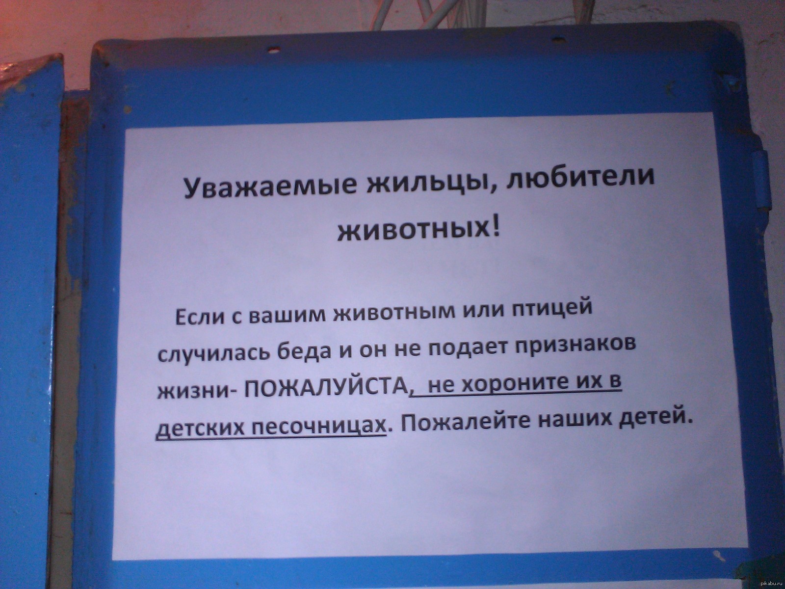 Обычное объявление в обычном подъезде | Пикабу