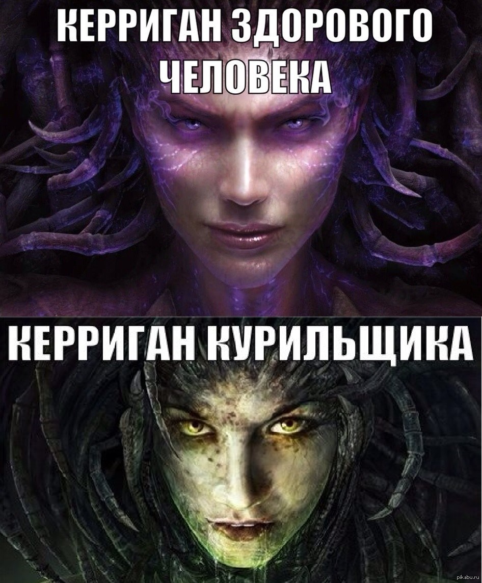Старкрафт 2 смешные картинки, днем