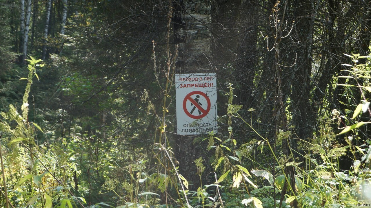 Знак опасности лес. Лесные таблички. Табличка в лесу. Таблички опасности в лесу. Лес вывеска.